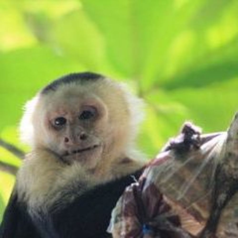 Meet your Posher, Maggie